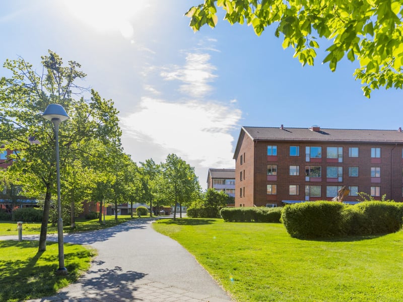 En stig i en park med en byggnad i bakgrunden.