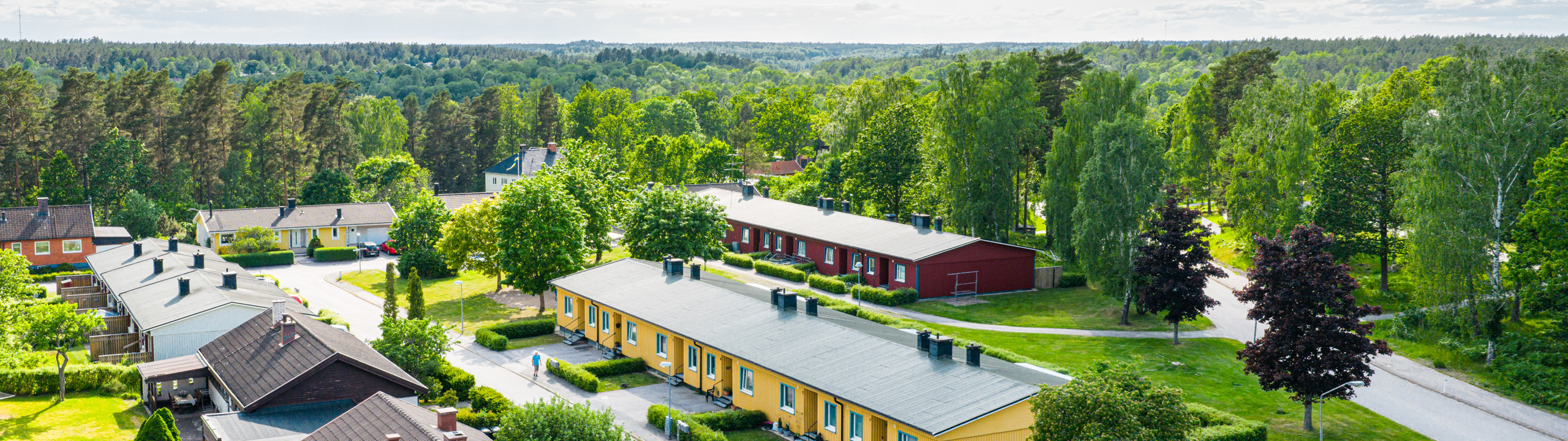 En flygbild av en liten stad omgiven av träd.