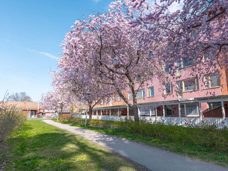 En trottoar framför en rad byggnader.
