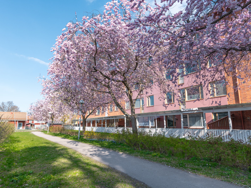 En trottoar framför en rad byggnader.