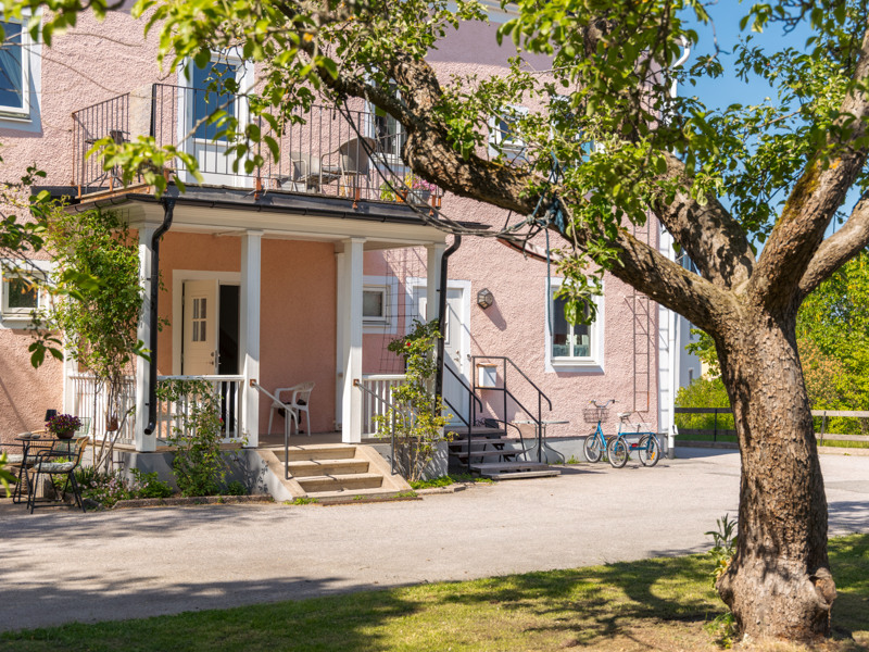 Ett rosa hus med ett träd framför.