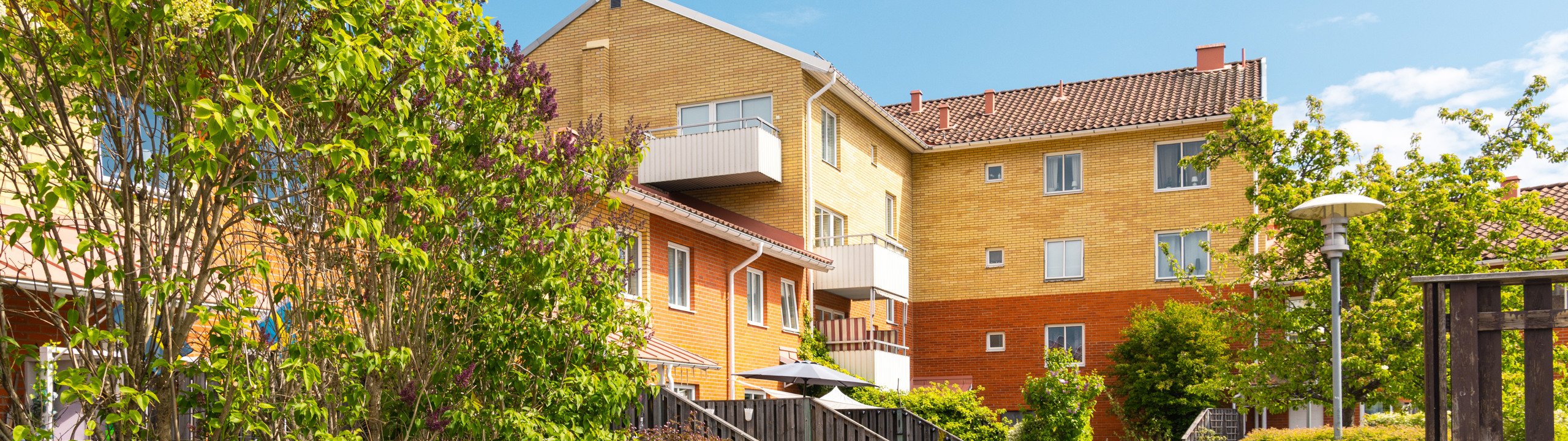 En gata kantad av hus och träd intill ett staket.